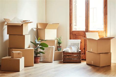 Unpacking: An Ode to Organized Chaos and Moving Boxes!